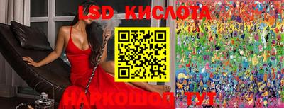 jwh Новозыбков