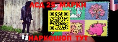 дмт Новокубанск