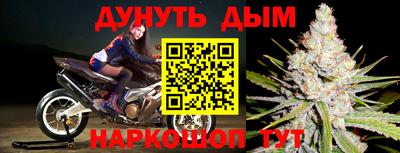 дмт Новокубанск