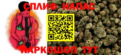 jwh Новозыбков