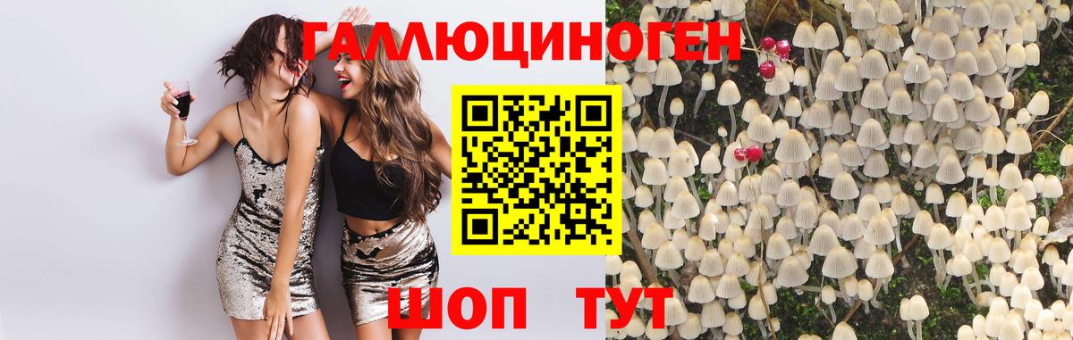 Топки  Галлюциногенные грибы Magic Shrooms  Галлюциногенные грибы мухоморы  Вход с VPN 