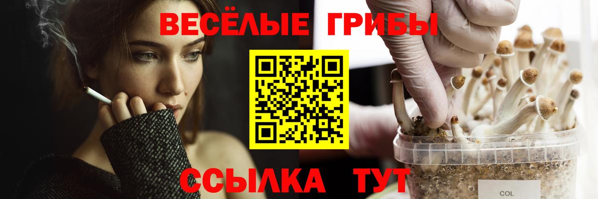 Каннабис  ГАШ  Топки  МЕФ   Вход с VPN  МАРИХУАНА 